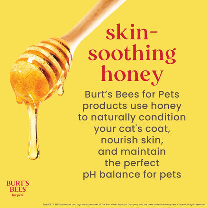 Tearless Kitten Shampoo with Buttermilk and Honey, Gentle Cat Shampoo for Itchy Skin and Sensitive Coats, Easy Rinse Low Lather Formula, 99.3% Natural Origin, 10 Fl Oz
