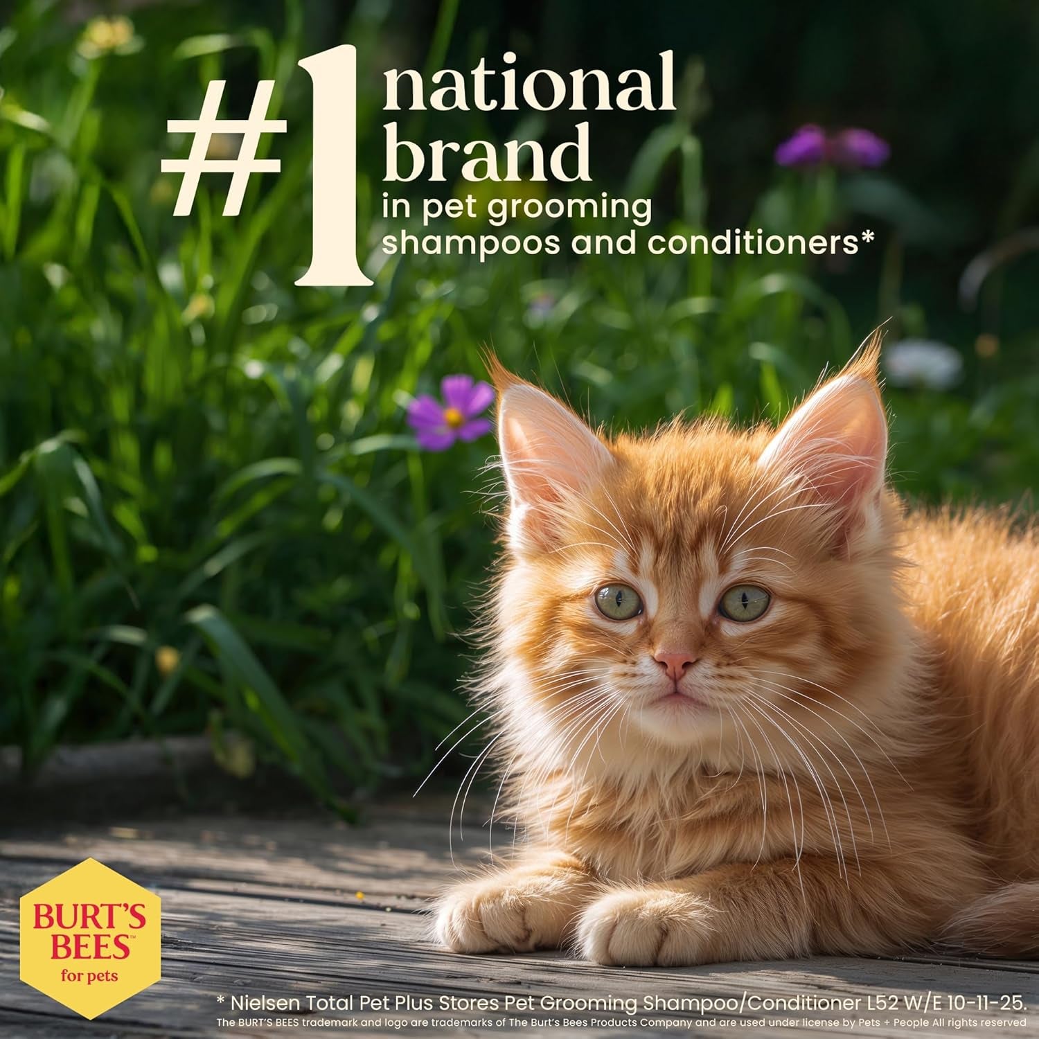 Tearless Kitten Shampoo with Buttermilk and Honey, Gentle Cat Shampoo for Itchy Skin and Sensitive Coats, Easy Rinse Low Lather Formula, 99.3% Natural Origin, 10 Fl Oz